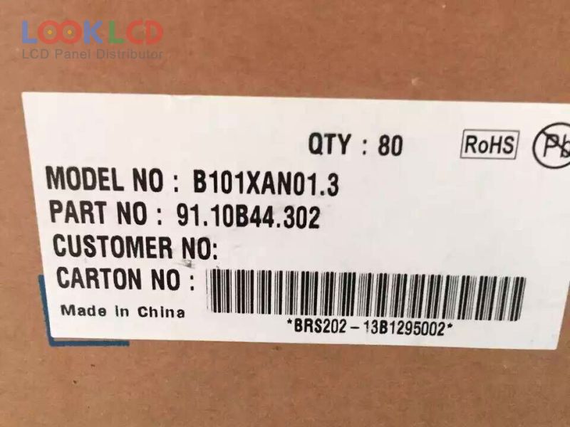 B101XAN01.3
